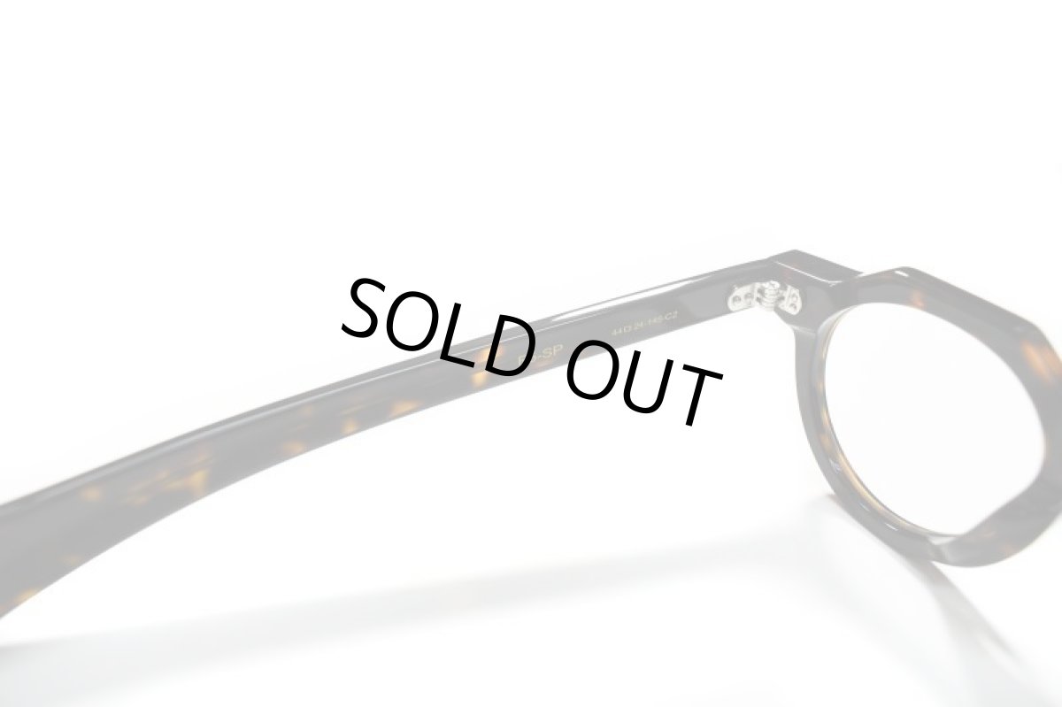 画像5: FEW F5-SP C-2 Brown Demi/Green Lens(調光レンズ) (5)