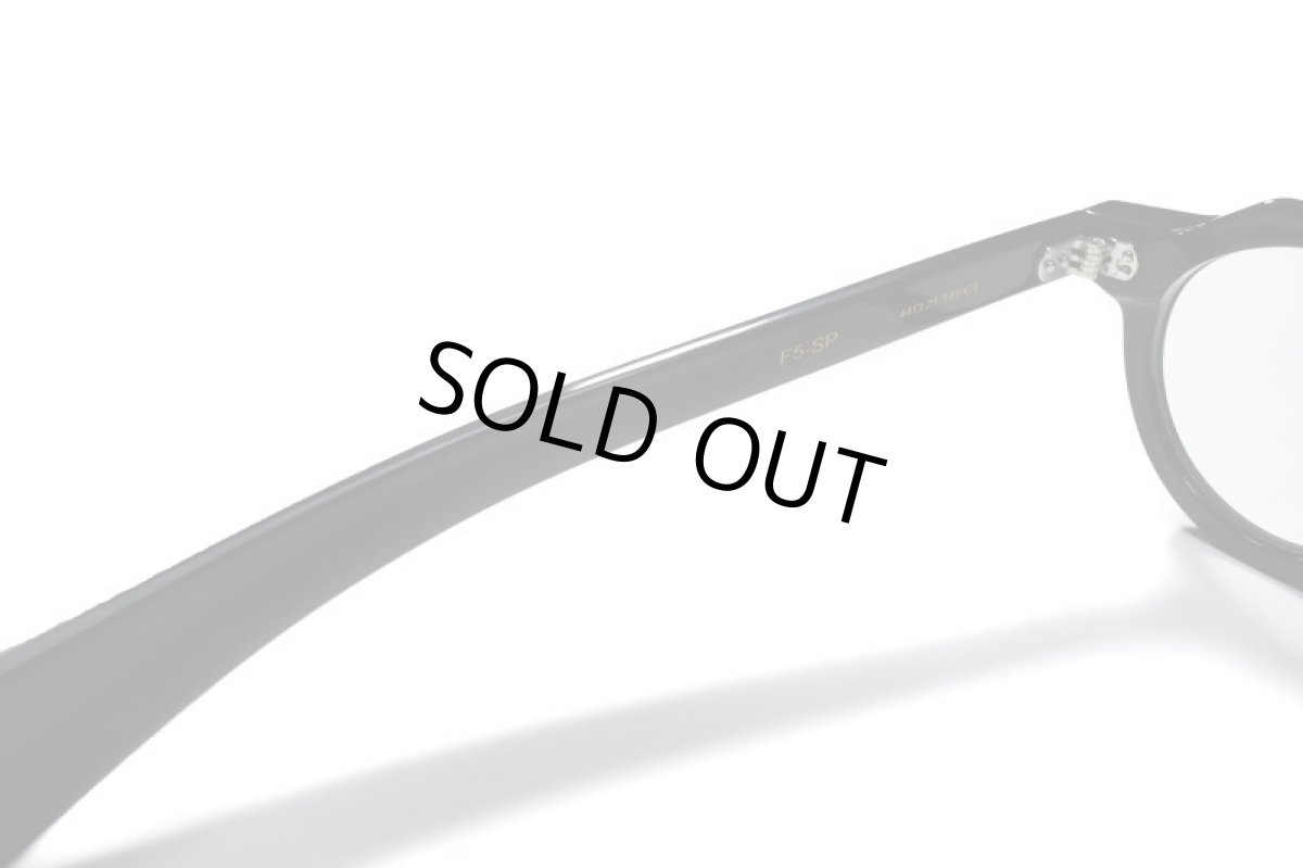 画像5: FEW F5-SP C-1 Black/Grey Lens(調光レンズ) (5)