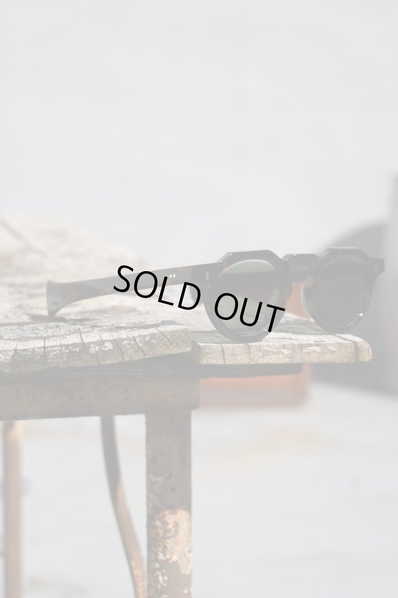 画像7: FEW F5-SP C-2 Brown Demi/Green Lens(調光レンズ) (7)