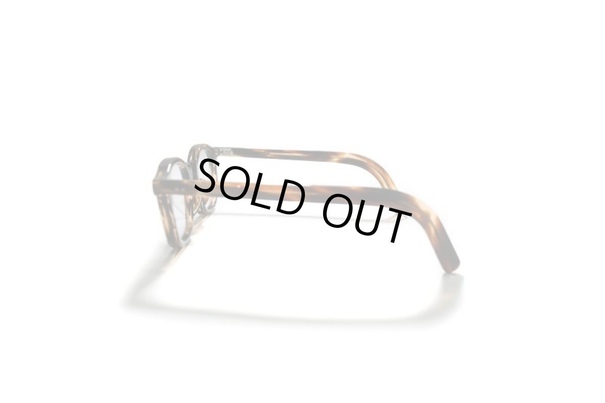 画像4: guepard gp-01 havana (4)