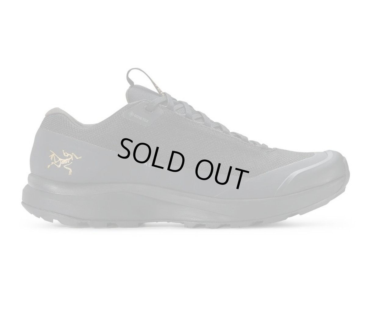 画像1: ARC'TERYX Aerios FL 2 Gore-Tex アークテリクス (1)