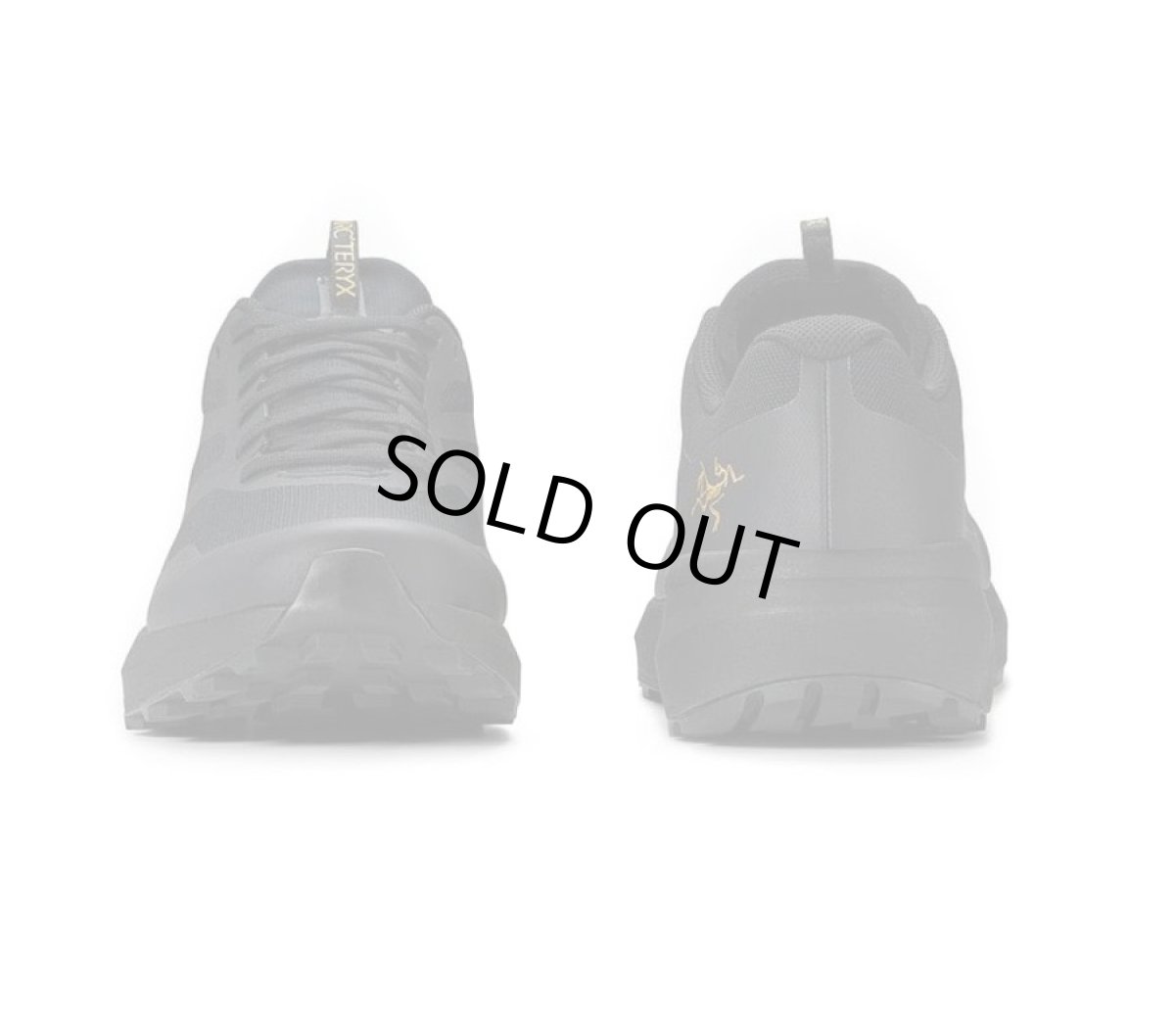 画像2: ARC'TERYX Norvan LD 3 アークテリクス (2)