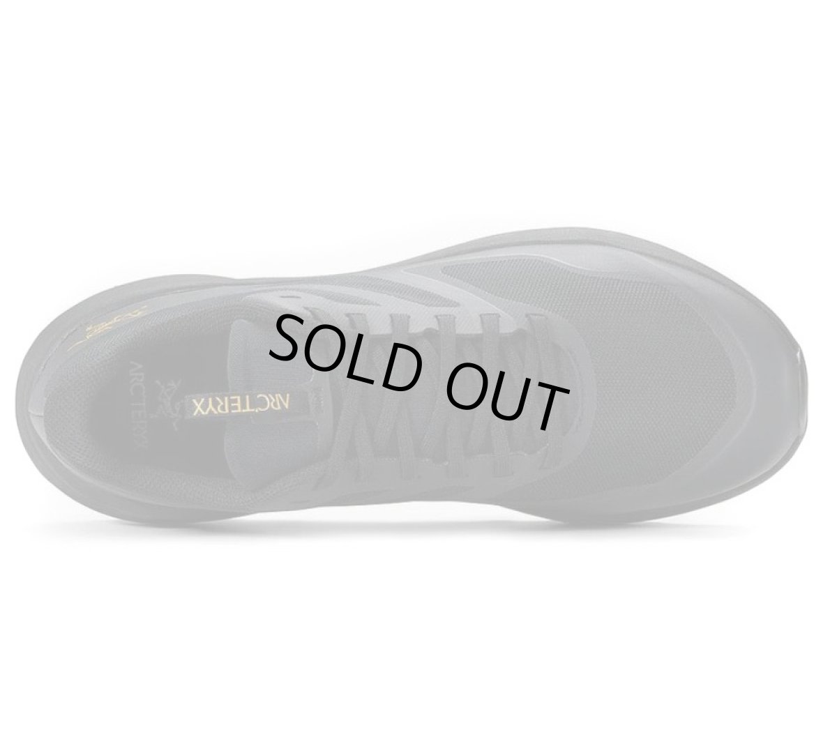 画像4: ARC'TERYX Norvan LD 3 アークテリクス (4)