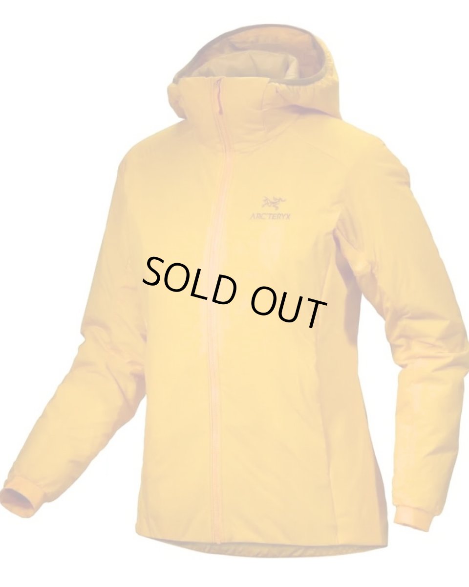 画像1: ARC'TERYX Atom Hoody Edziza アークテリクス (1)