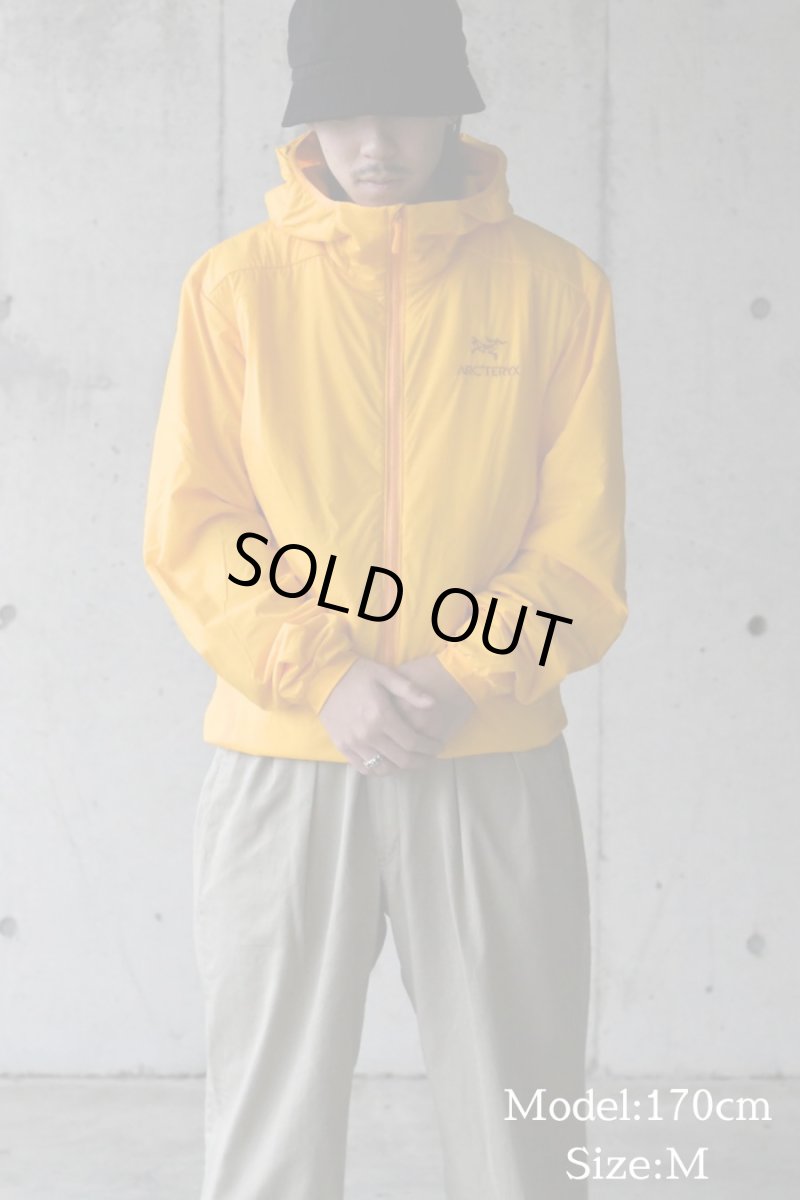 画像2: ARC'TERYX Atom Hoody Edziza アークテリクス (2)