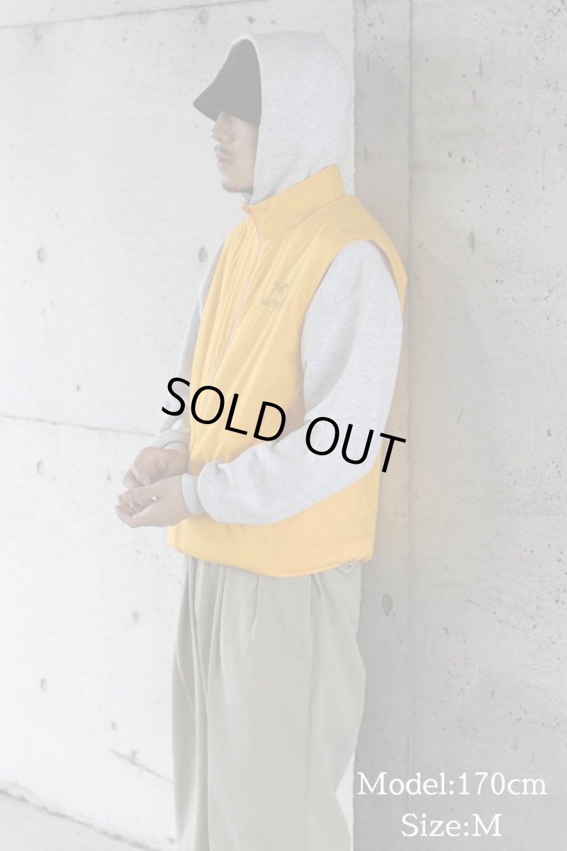 画像2: ARC'TERYX Atom Vest Edziza アークテリクス (2)