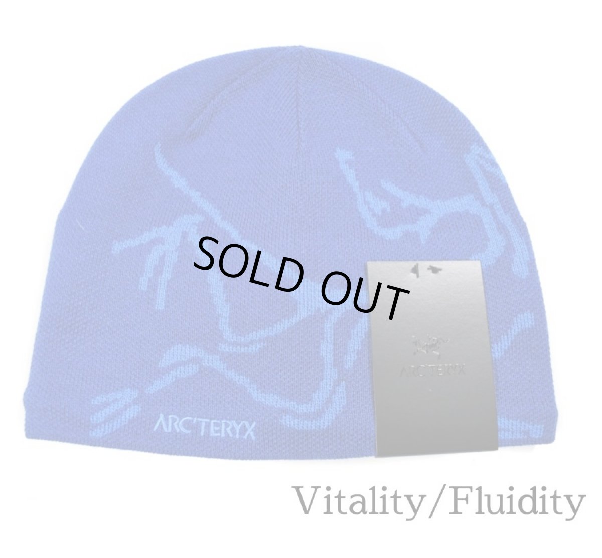 画像2: ARC'TERYX Bird Head Toque Knit Cap アークテリクス (2)