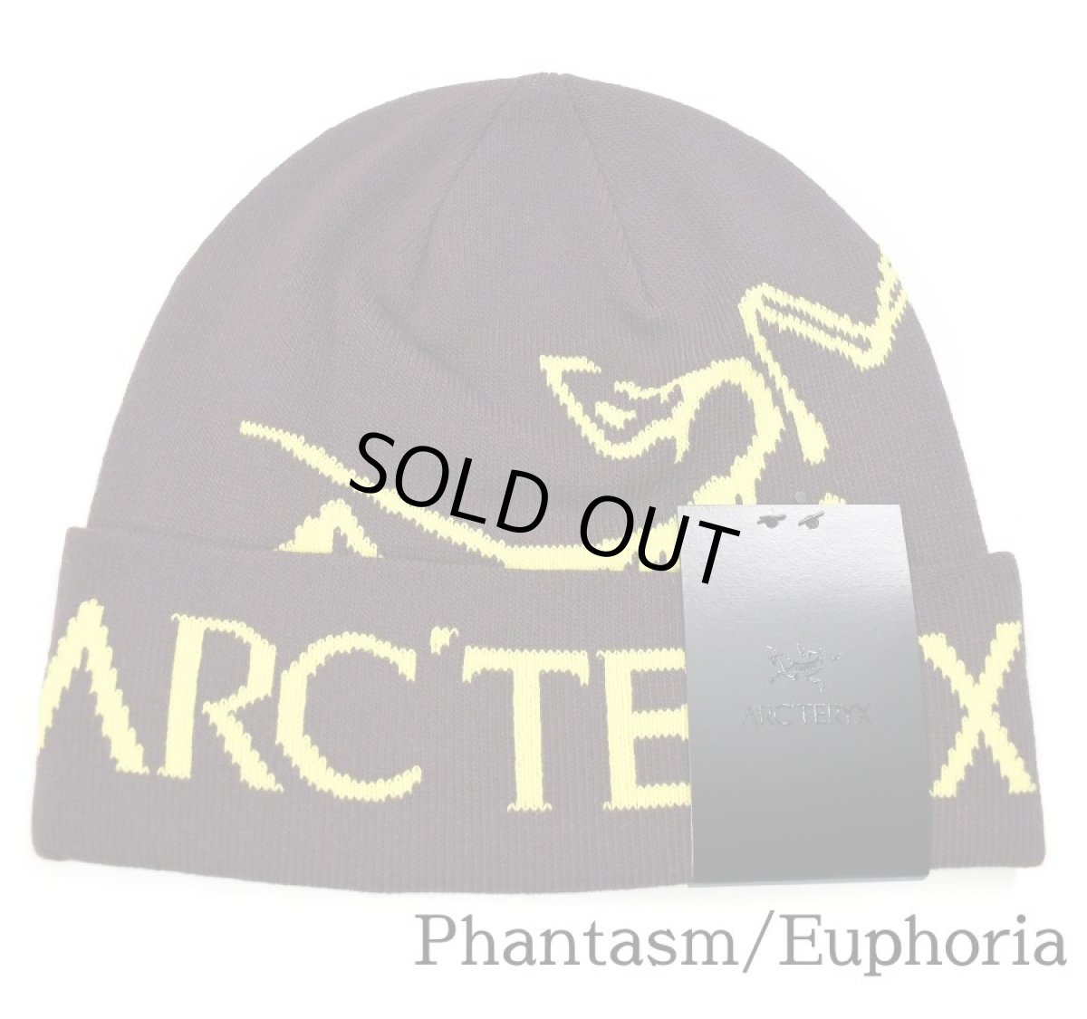 画像4: ARC'TERYX Bird Word Toque Knit Cap アークテリクス (4)