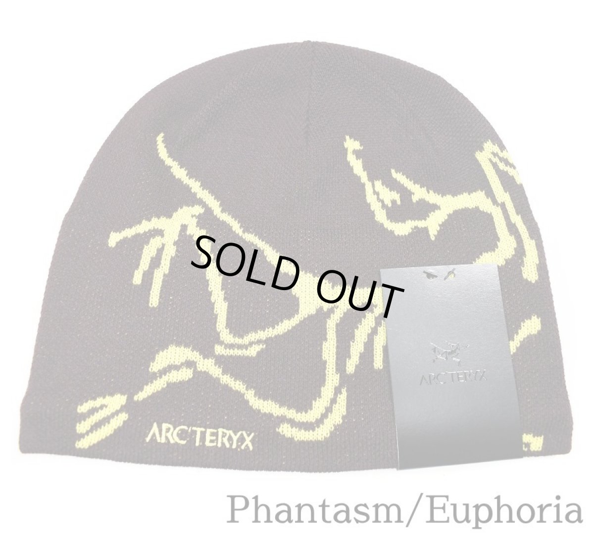 画像3: ARC'TERYX Bird Head Toque Knit Cap アークテリクス (3)