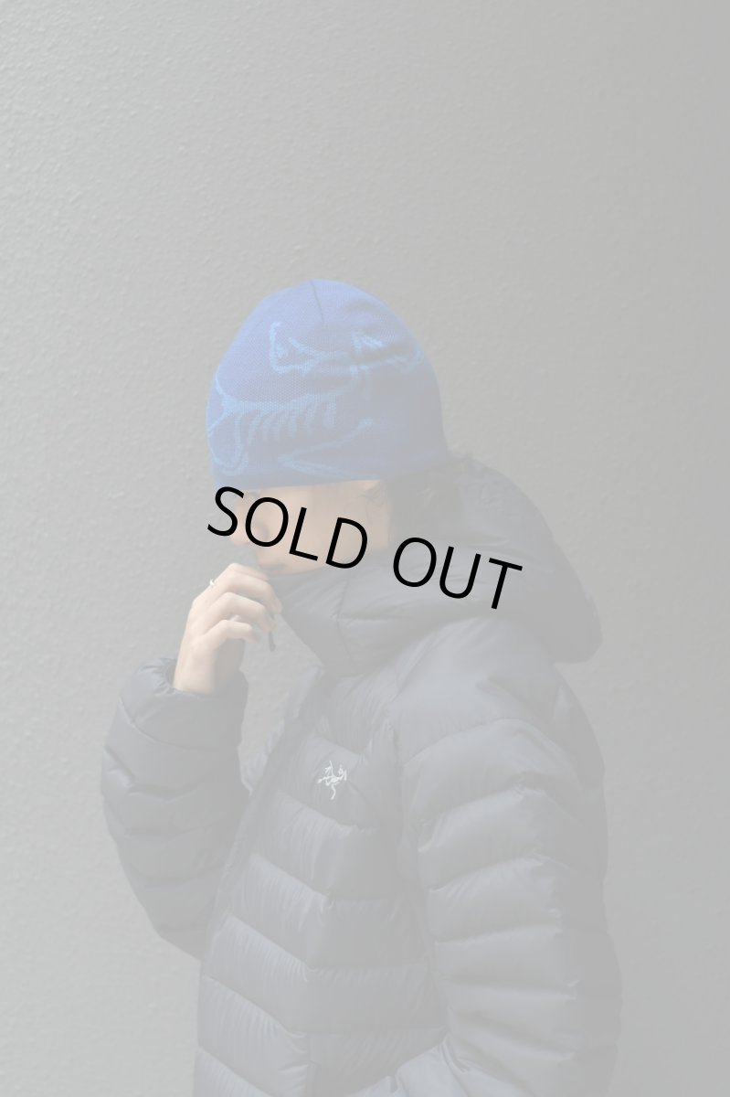 画像7: ARC'TERYX Bird Head Toque Knit Cap アークテリクス (7)