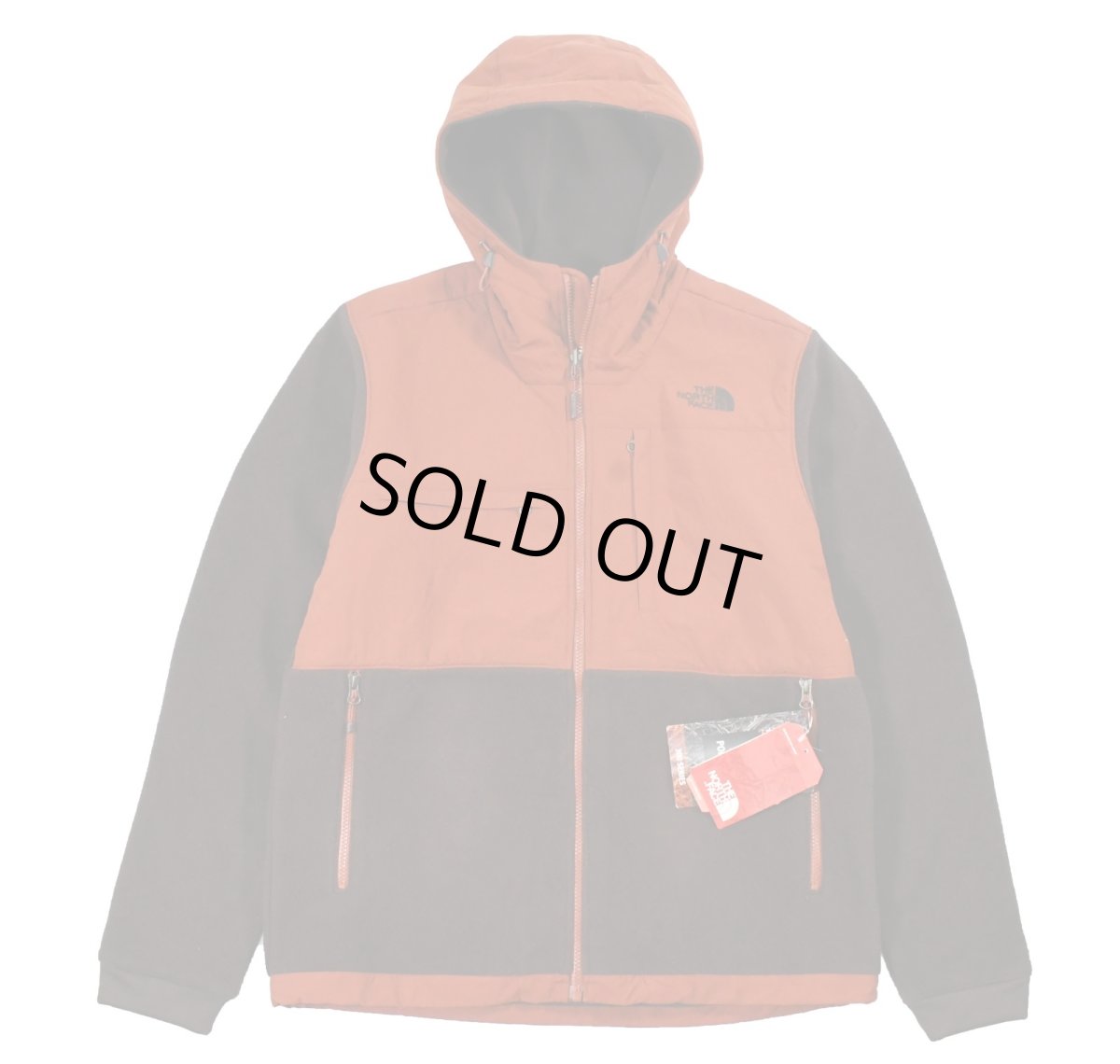画像1: Deadstock The North Face Denali 2 Hoodie ノースフェイス (1)