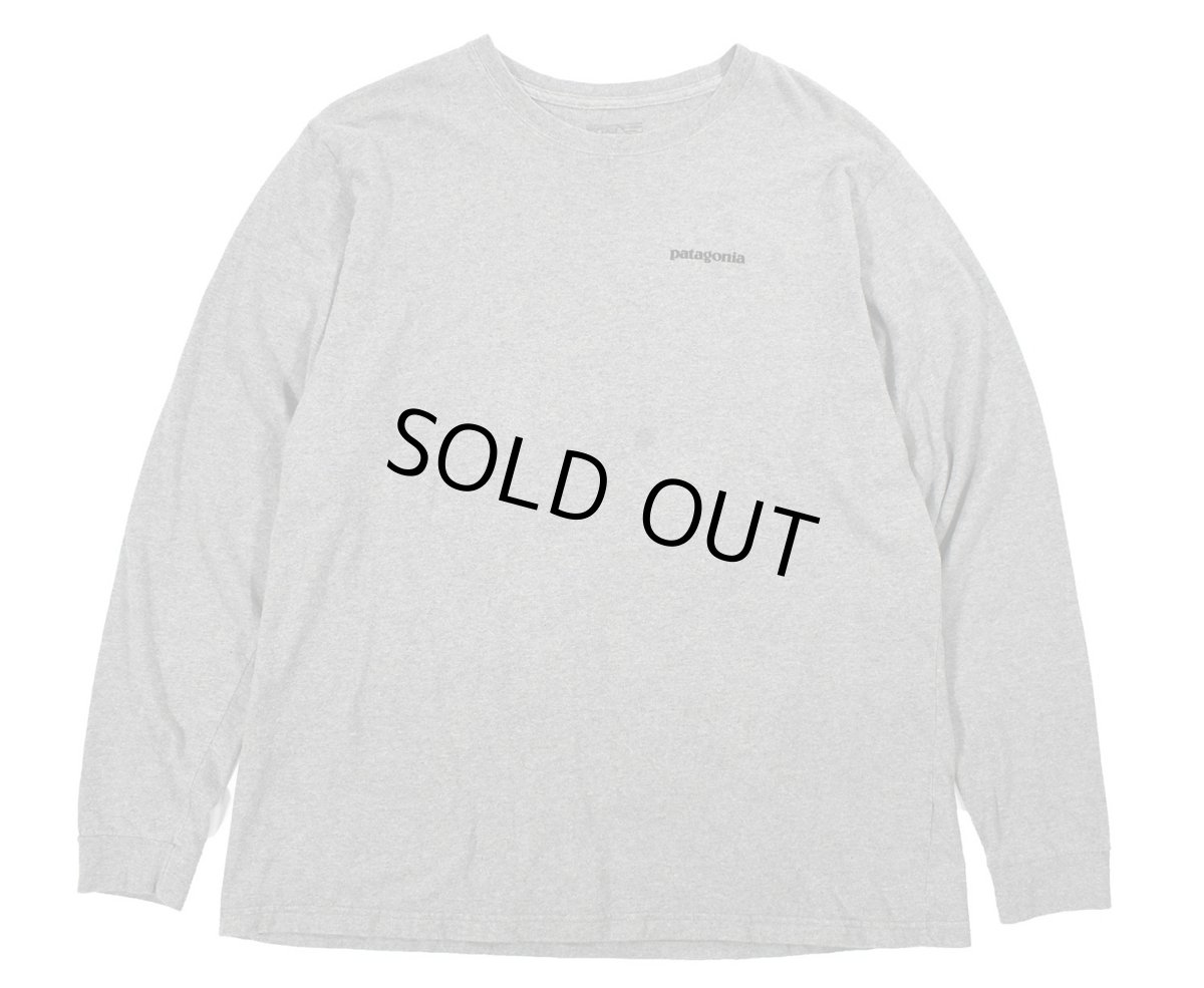 画像1: Used patagonia L/S Print Tee Grey (1)