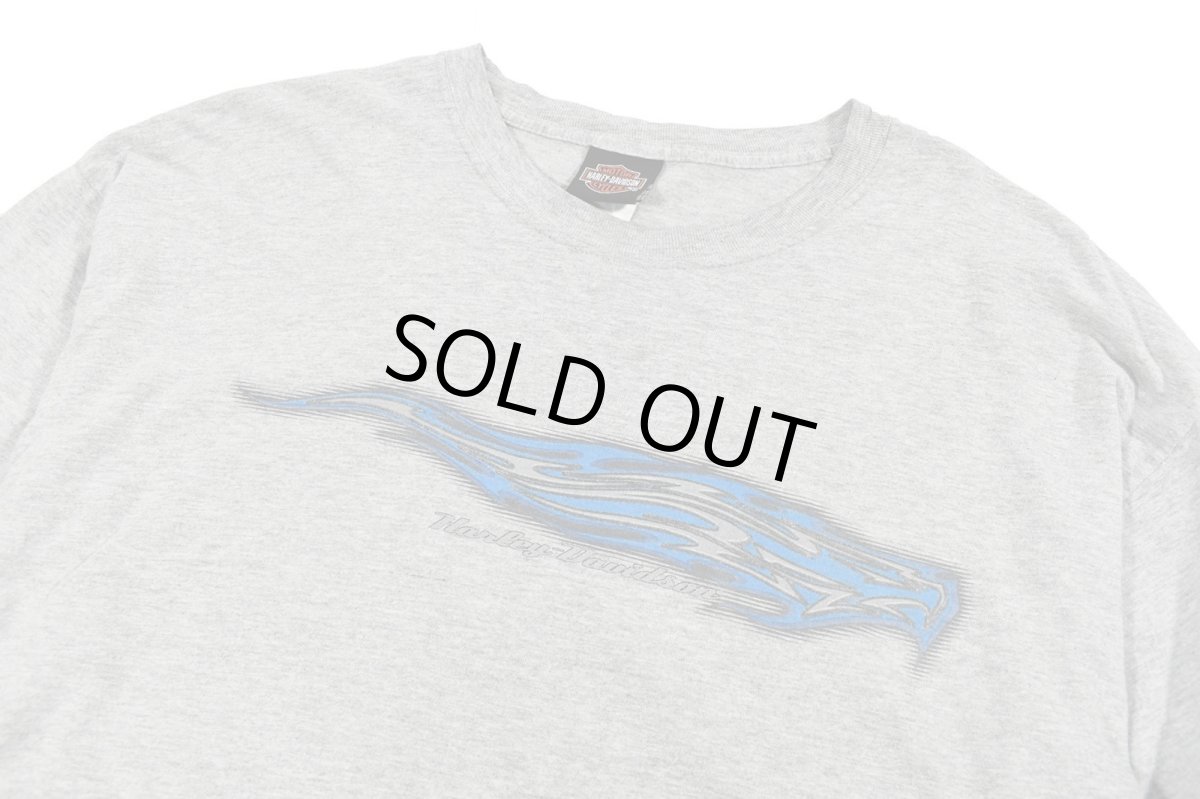 画像2: Used Harley-Davidson L/S Print Tee Grey made in USA (2)