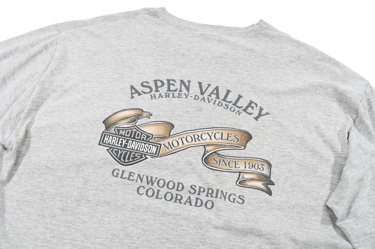 画像7: Used Harley-Davidson L/S Print Tee Grey made in USA (7)