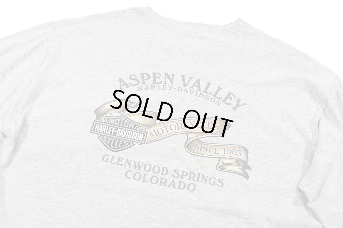 画像7: Used Harley-Davidson L/S Print Tee Grey made in USA (7)