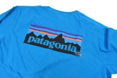 画像4: Used patagonia S/S Hand Stitch Tee パタゴニア (4)