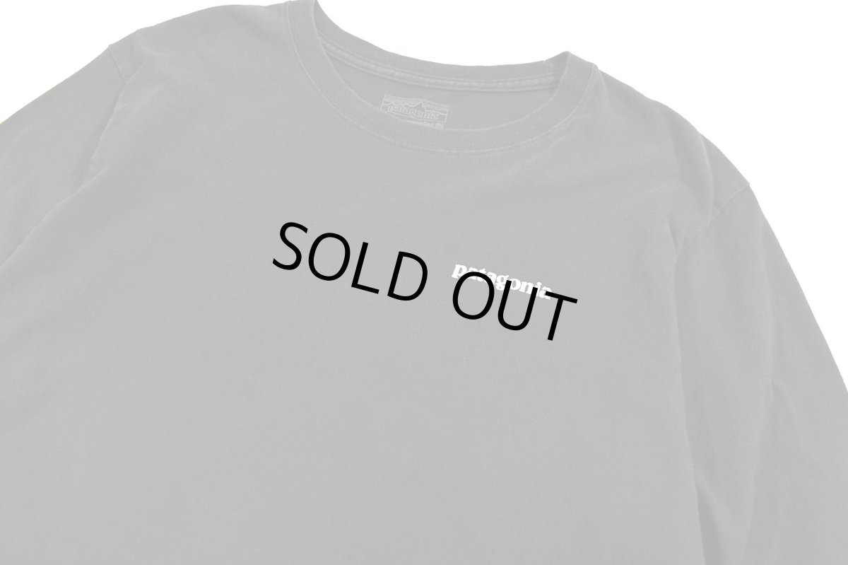 画像2: Used patagonia L/S Print Tee パタゴニア (2)