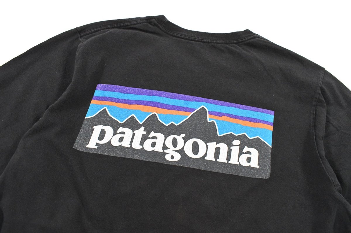 画像5: Used patagonia L/S Print Tee パタゴニア (5)