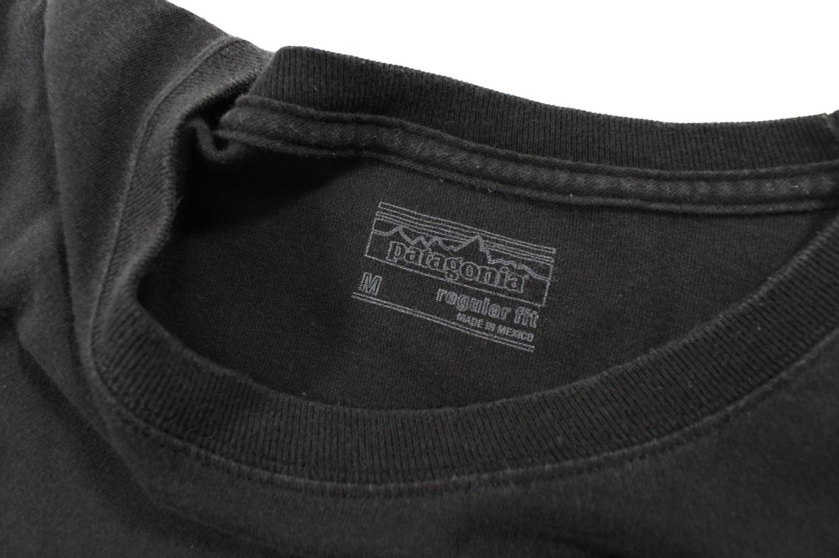 画像4: Used patagonia L/S Print Tee パタゴニア (4)