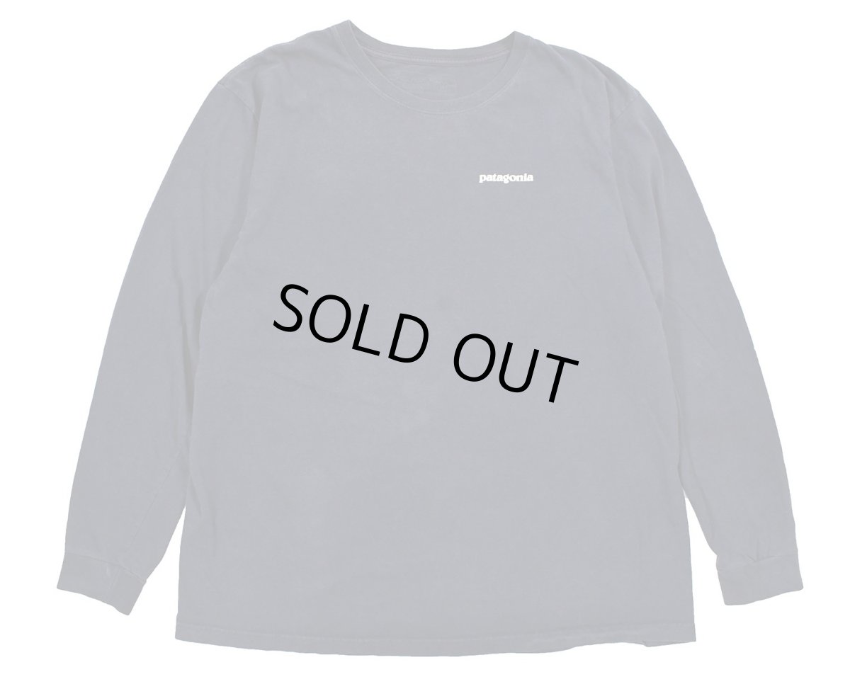 画像1: Used patagonia L/S Print Tee パタゴニア (1)