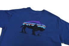 画像4: Used patagonia S/S Print Tee パタゴニア (4)