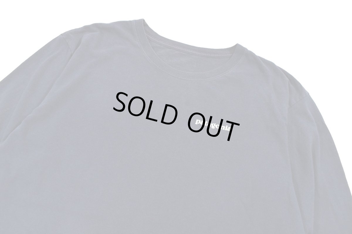 画像2: Used patagonia L/S Print Tee パタゴニア (2)