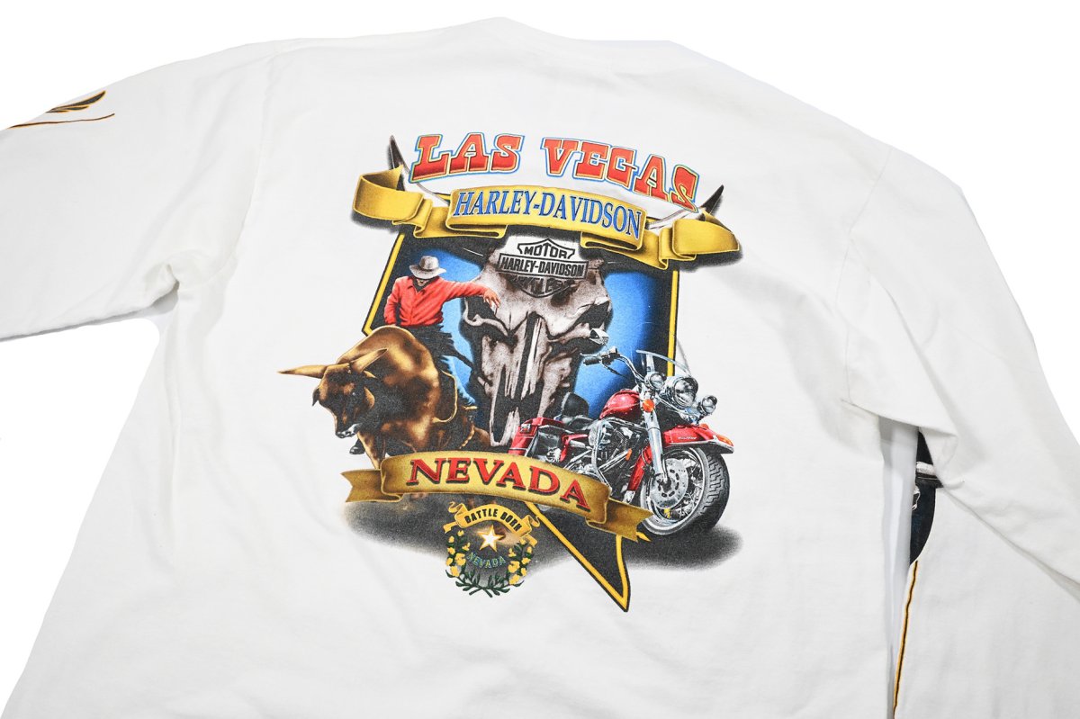 画像7: Used Harley-Davidson L/S Print Tee (7)
