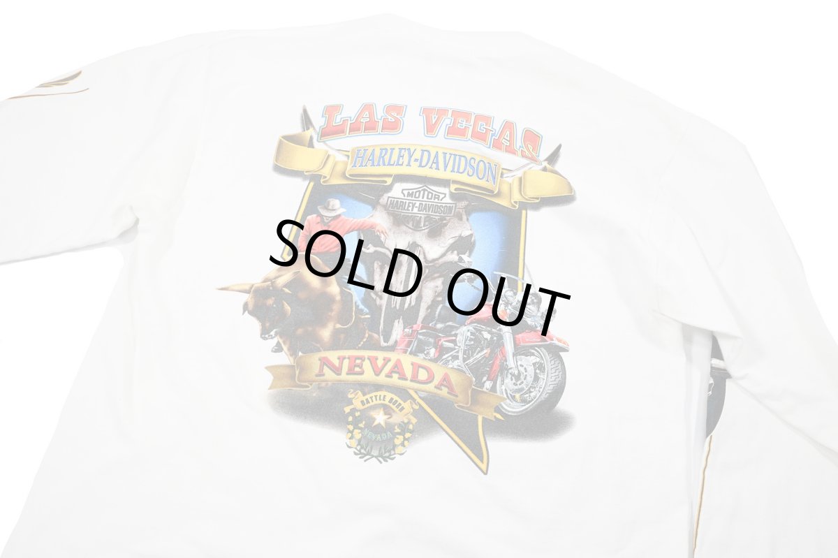 画像7: Used Harley-Davidson L/S Print Tee (7)