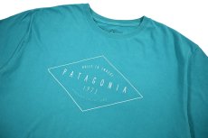 画像2: Used patagonia S/S Print Tee パタゴニア (2)