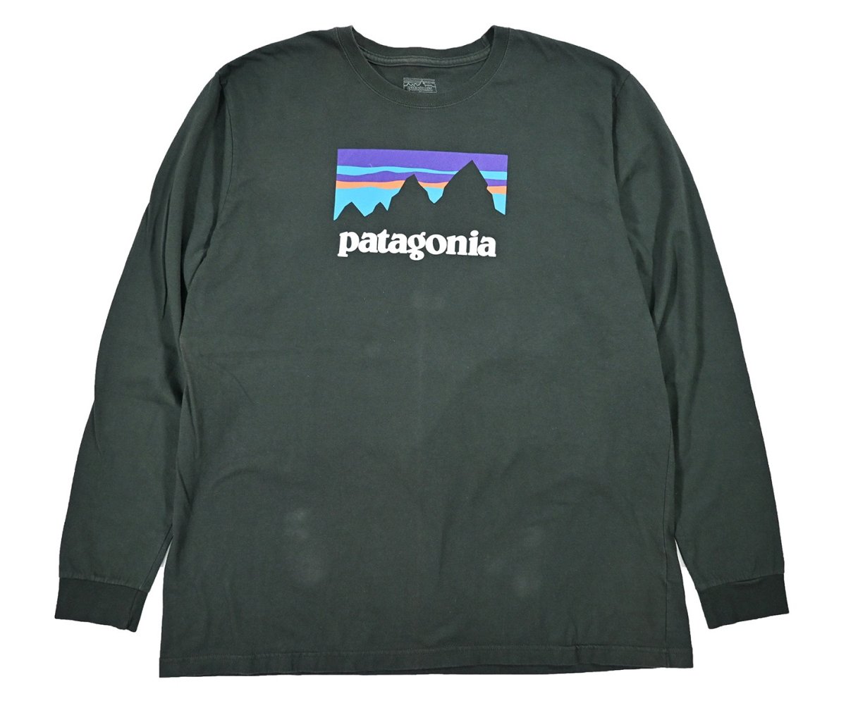 画像1: Used patagonia L/S Print Tee パタゴニア (1)