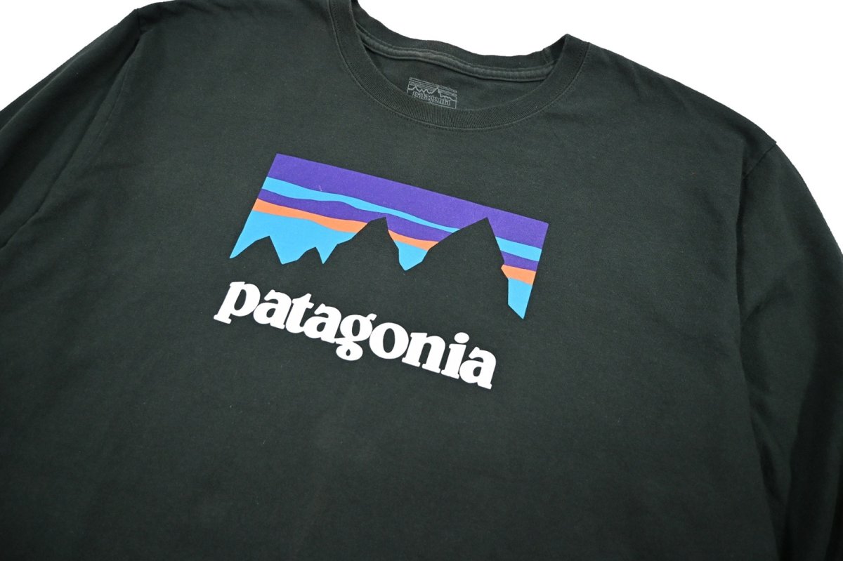 画像2: Used patagonia L/S Print Tee パタゴニア (2)