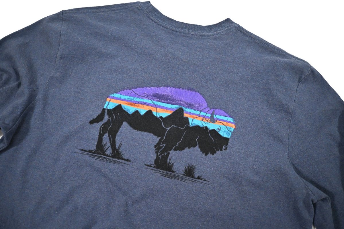 画像5: Used patagonia L/S Print Tee パタゴニア (5)