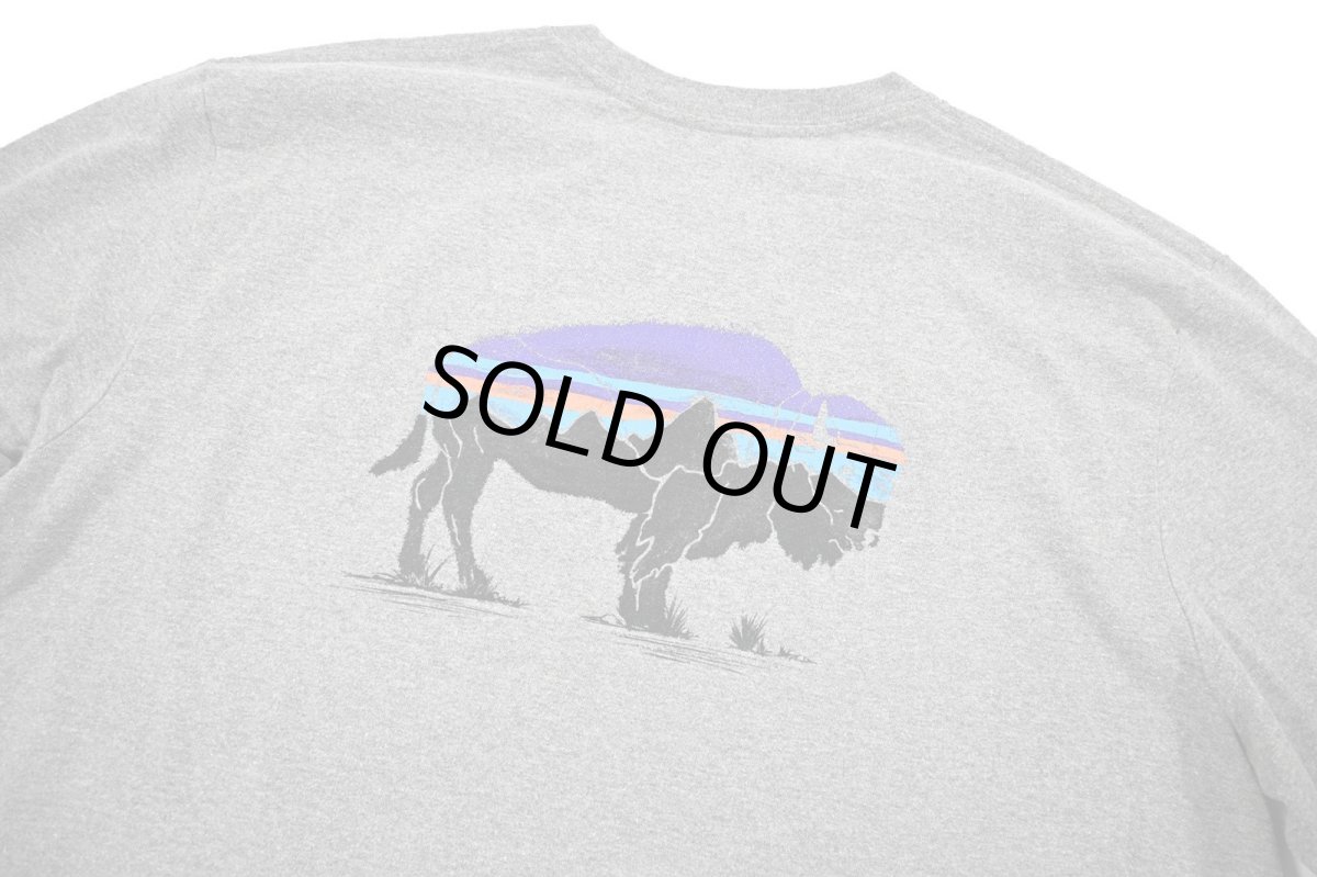 画像5: Used patagonia L/S Print Tee パタゴニア (5)