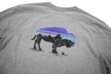 画像5: Used patagonia L/S Print Tee パタゴニア (5)