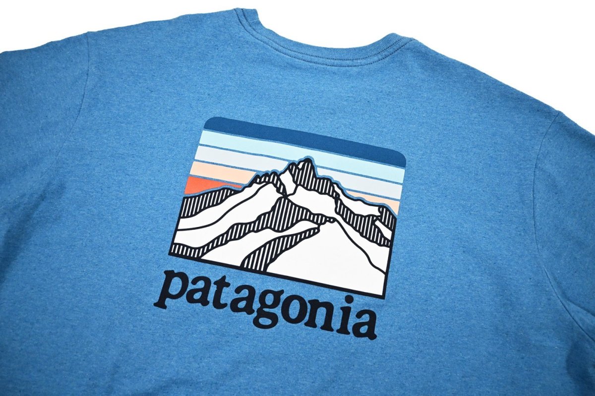 画像4: Used patagonia S/S Print Tee パタゴニア (4)