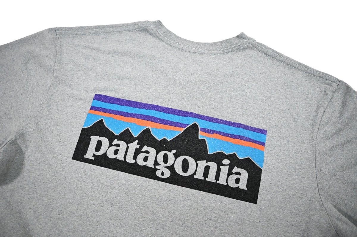 画像4: Used patagonia S/S Print Tee パタゴニア (4)