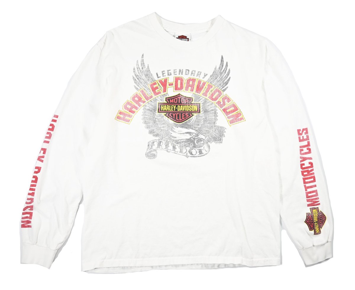画像1: Used Harley-Davidson L/S Print Tee (1)