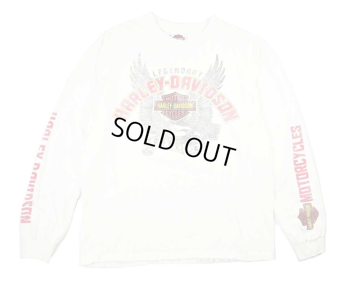 画像1: Used Harley-Davidson L/S Print Tee (1)