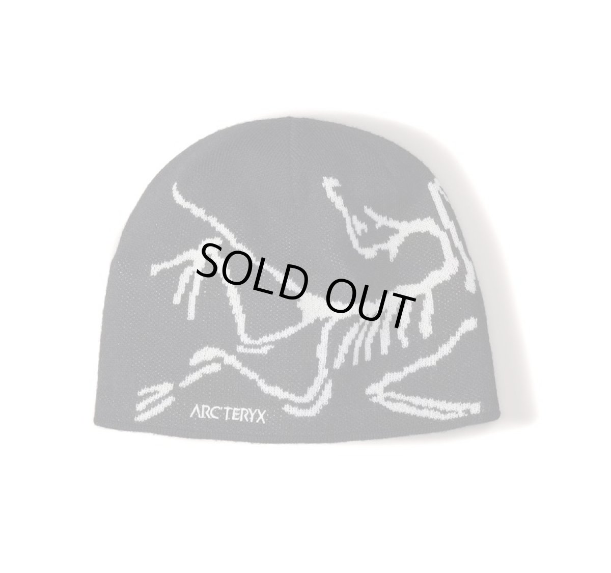 画像1: ARC'TERYX Bird Head Toque Knit Cap アークテリクス (1)