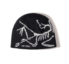 画像1: ARC'TERYX Bird Head Toque Knit Cap アークテリクス (1)