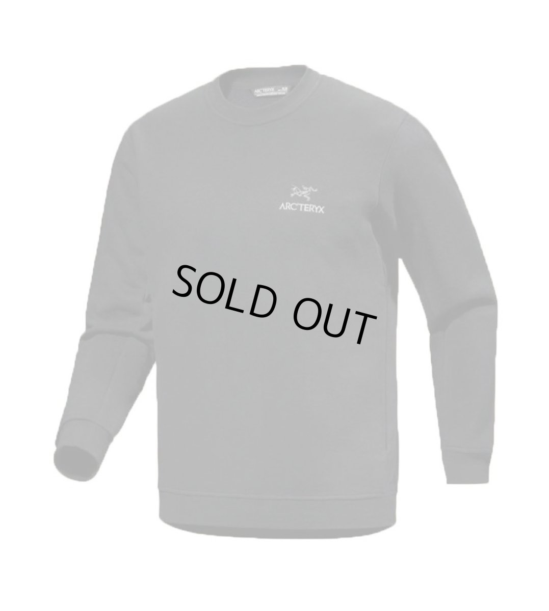 画像2: ARC'TERYX Emblem Fleece Crew Black アークテリクス (2)