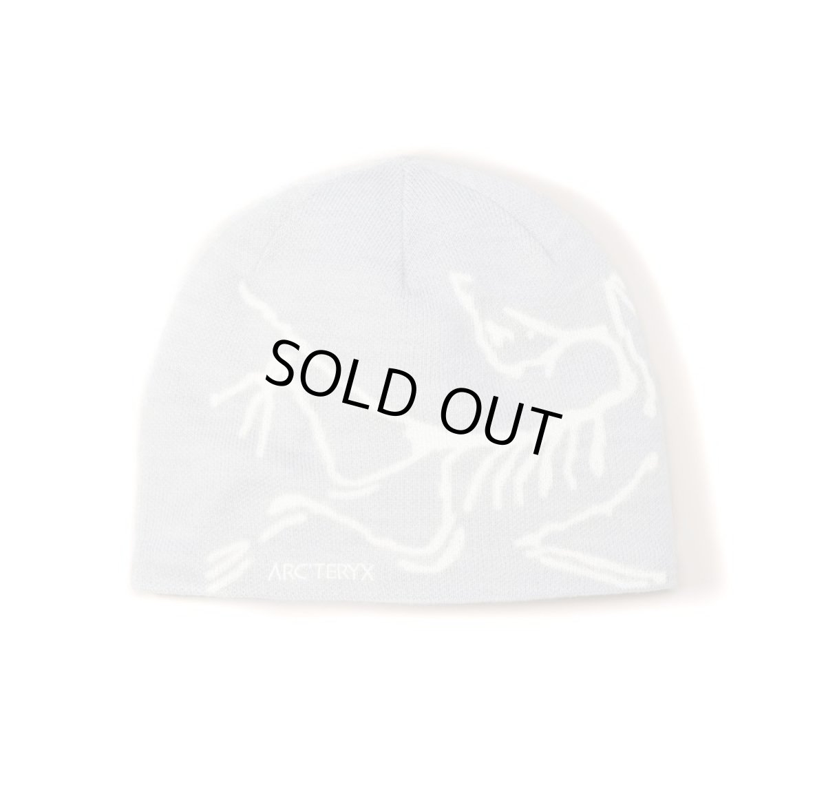 画像2: ARC'TERYX Bird Head Toque Knit Cap アークテリクス (2)