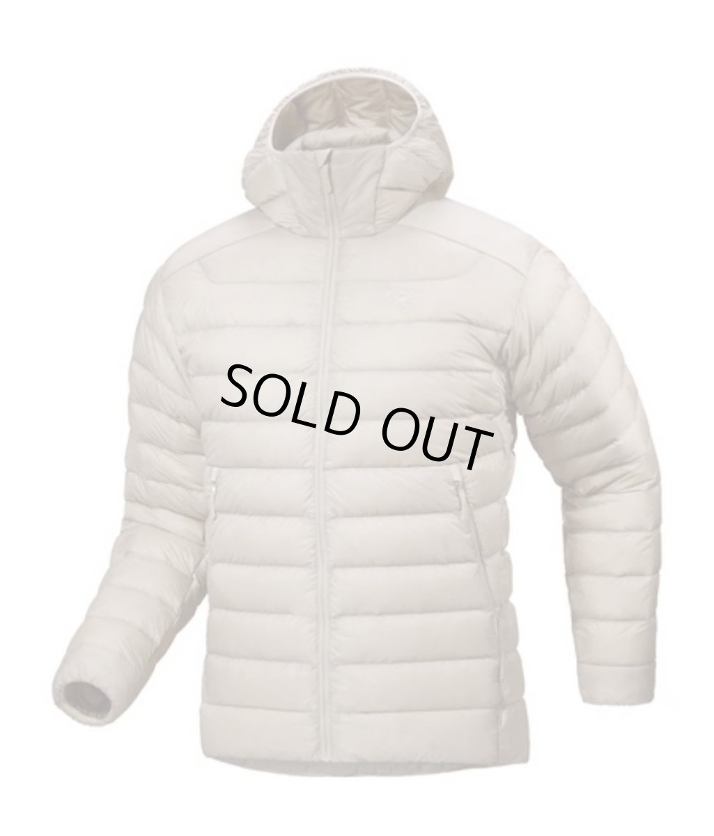 画像1: ARC'TERYX Cerium Hoody Rune アークテリクス (1)