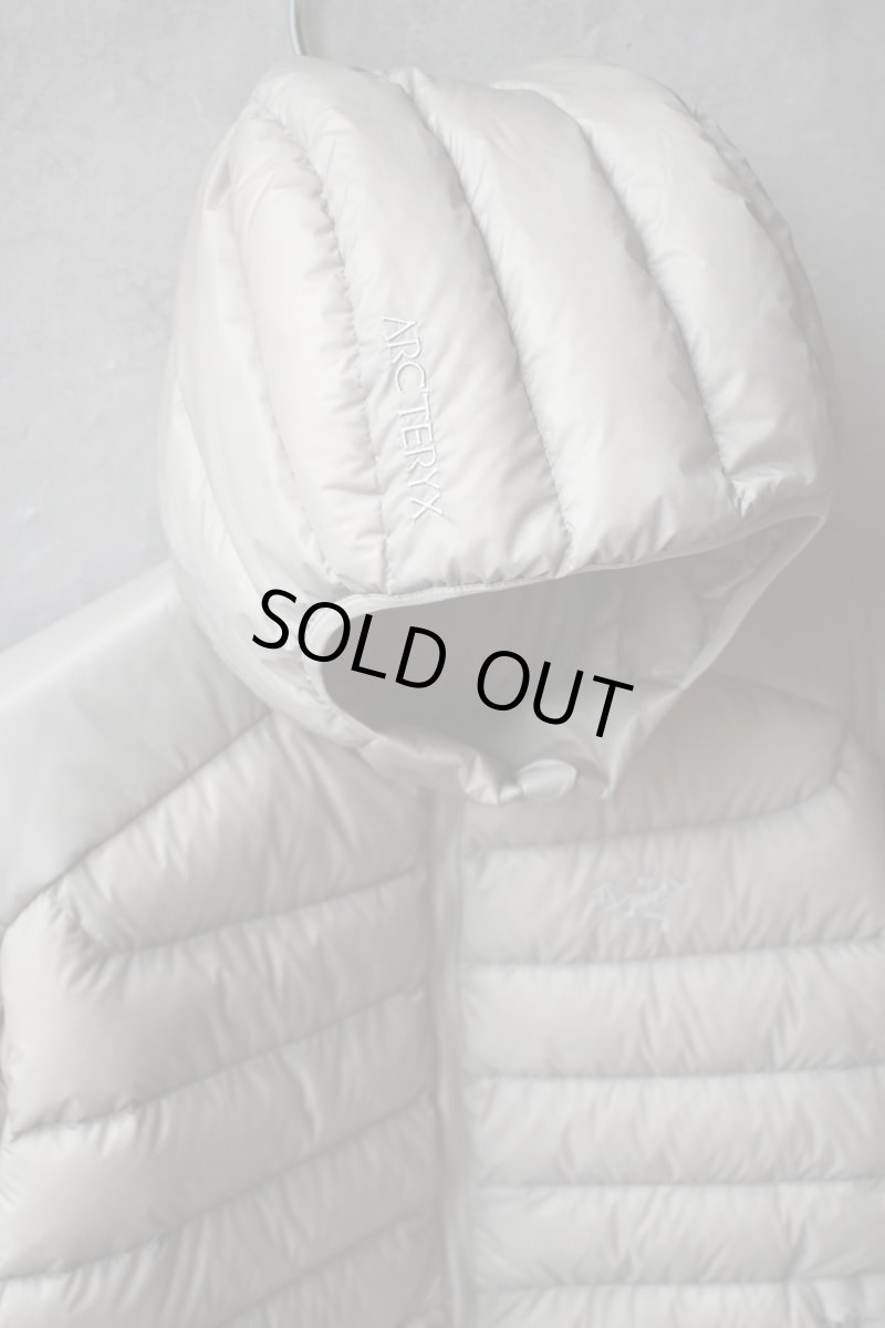 画像4: ARC'TERYX Cerium Hoody Rune アークテリクス (4)