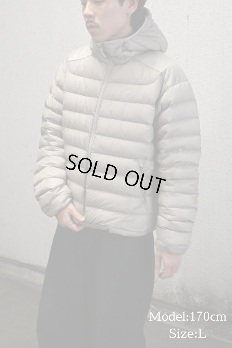画像2: ARC'TERYX Cerium Hoody Rune アークテリクス (2)