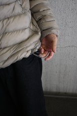 画像3: ARC'TERYX Cerium Hoody Rune アークテリクス (3)