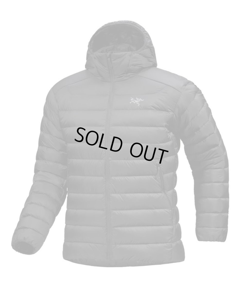 画像1: ARC'TERYX Cerium Hoody Black アークテリクス (1)