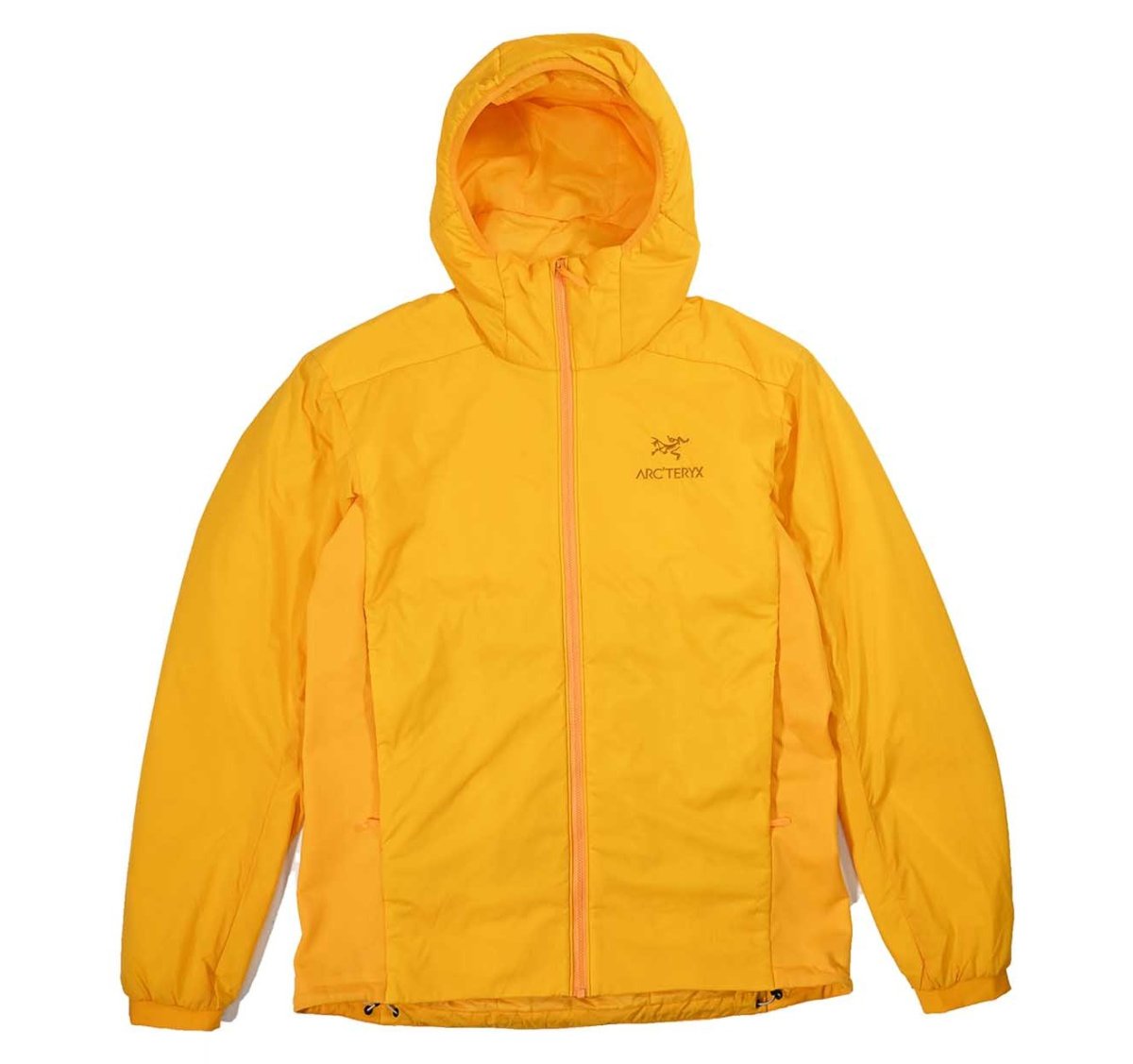 画像1: Used ARC'TERYX Atom Hoody (1)