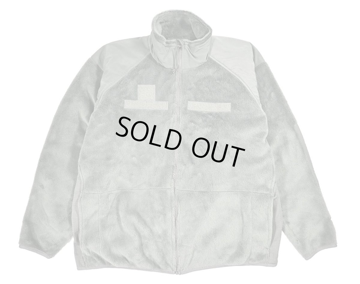 画像1: Deadstock ECWCS Gen3 Fleece Jacket Foliage Green (1)