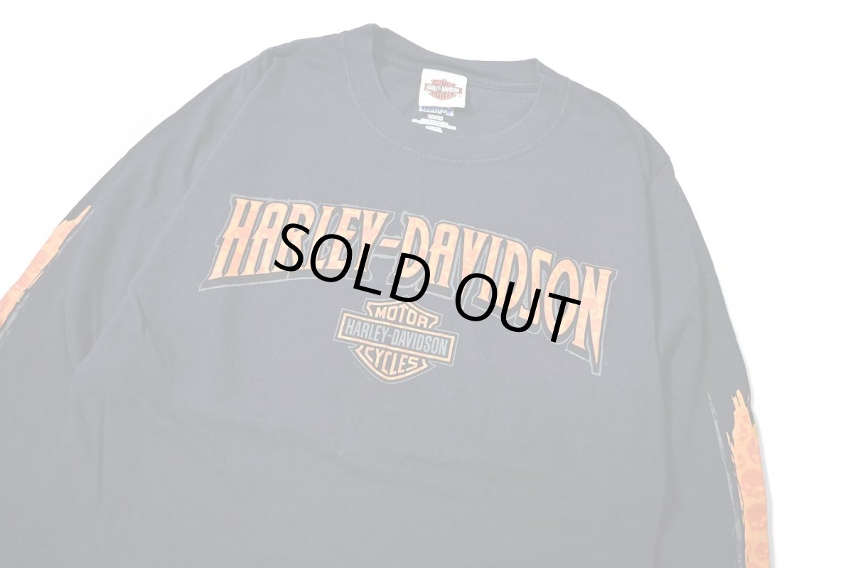 画像2: Used Harley-Davidson L/S Print Tee (2)